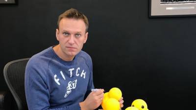 Экономист Иноземцев предрек провал митингов в поддержку Навального