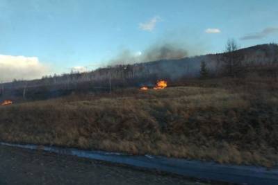 Степной пожар площадью 25 гектаров действует в районе села Кокуй Шилкинского района
