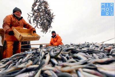 В России будут расширены меры господдержки рыбного промысла