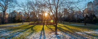 Во вторник в Рязанской области ожидается потепление до +13 градусов