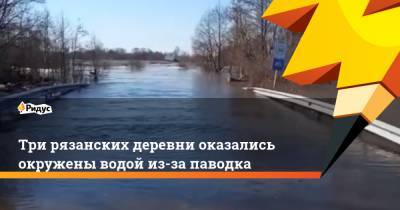 Три рязанских деревни оказались окружены водой из-за паводка - ridus.ru - Рязанская обл. - район Кораблинский