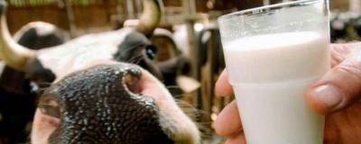 В нижегородском молоке выявлены антибиотики