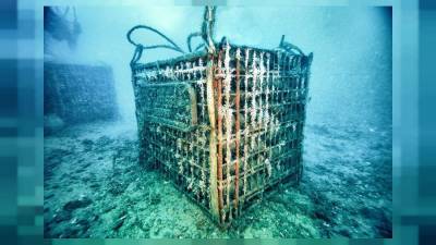 Эксперты рассказали, почему виноделы выдерживают бутылки в морских погребах