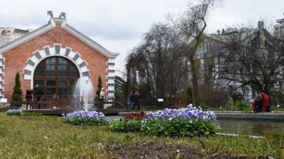 Фестиваль цветов пройдет в "Аптекарском огороде" с 10 апреля по 31 мая