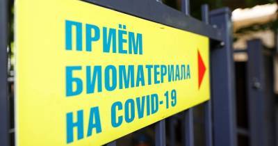 В Калининградской области коронавирус за сутки выявили в десяти муниципалитетах (список)