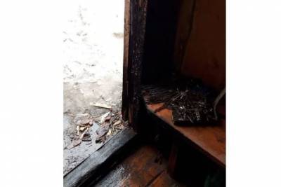 Из-за курения чуть не сгорел дом в поселке Марий Эл