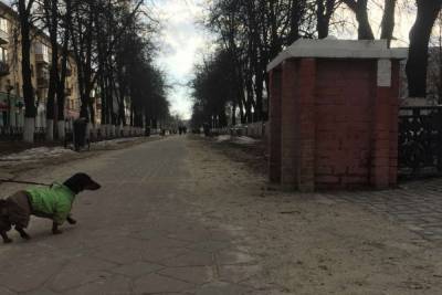 Рязанские экоактивисты назвали причину пыли и грязи на улицах города