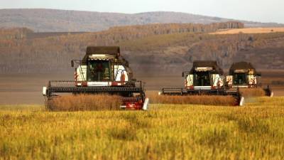 Эксперт прокомментировал рост объёма аграрного экспорта России