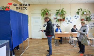 Политтехнолог оценила муниципальные выборы: «Кандидаты стали грамотнее»