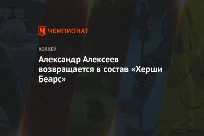 Александр Алексеев возвращается в состав «Херши Беарс»