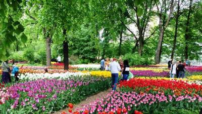 «Аптекарский огород» проведёт Весенний фестиваль цветов с 10 апреля по 31 мая