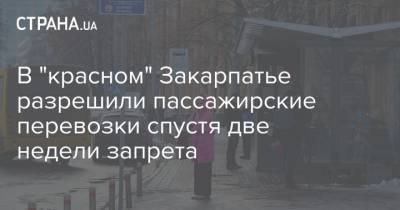 В "красном" Закарпатье разрешили пассажирские перевозки спустя две недели запрета
