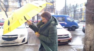 Сидите дома: о ЧС с ливнями в Ярославле предупреждает МЧС