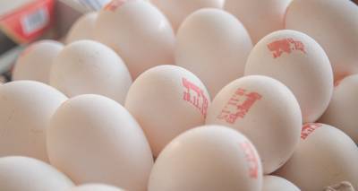 Птицефабрика "Аракс" пояснила причины дефицита яиц на армянском рынке