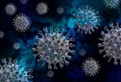 В Роспотребнадзоре рассказали о неопознанных штаммах коронавируса