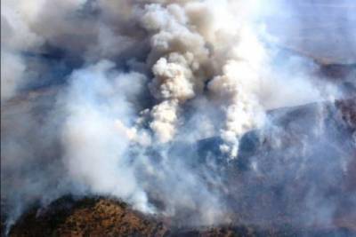 Огнеборцы потушили 99 природных пожаров с 29 марта по 4 апреля в Забайкалье