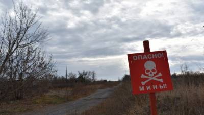 Украинский военный погиб на минном поле у границ ДНР