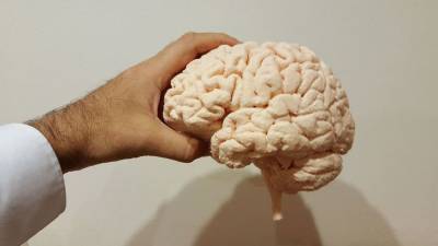 Ученые впервые подключили к мозгу компьютер по беспроводной связи - politros.com
