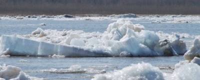 В Новосибирске двух подростков унесло по реке на льдине