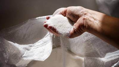 Кабмин РФ выделит 9 млрд рублей производителям сахара и масла