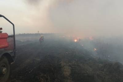 Пожарные в Забайкалье не допустили переход пала травы в лес