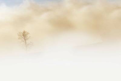 В Оренбургской области синоптики прогнозируют туман
