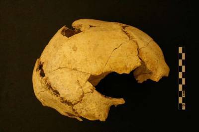 Изотопный анализ открыл секреты диеты каменного века