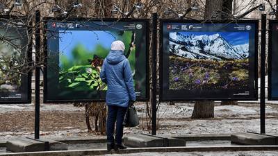 Россиян призвали адаптироваться к изменениям климата
