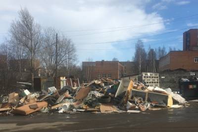 Петрозаводчане пожаловались на масштабную уличную свалку