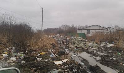 Тюменцы, живущие в микрорайоне Славянском, жалуются на несанкционированную свалку