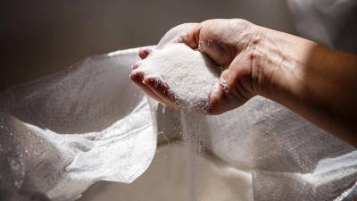 Кабмин РФ выделил 9 млрд рублей производителям сахара и масла