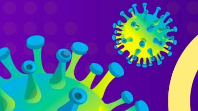 Названо главное условие для обязательной вакцинации животных от коронавируса