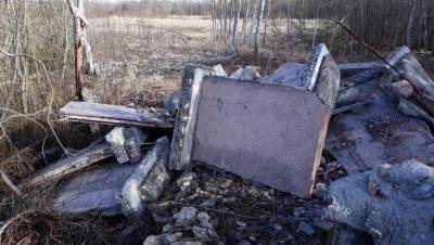 Александр Козловский - Под Псковом обнаружили свалку надгробий с воинского захоронения - newsland.com - Псковская обл. - Псков - район Псковский