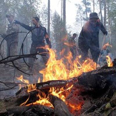 В Анюйском национальном парке тушат возгорания