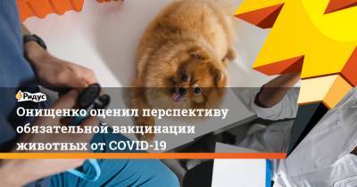 Онищенко оценил перспективу обязательной вакцинации животных отCOVID-19