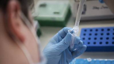 В России проведено более 122 млн тестов на коронавирус