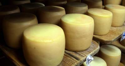 На прилавках стало больше иностранных сыров и сливок: в Украине увеличился импорт молочной продукции
