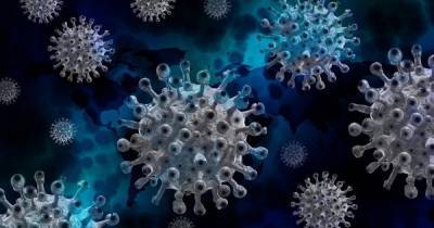 В Румынии разыскали новую мутацию коронавируса