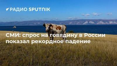 СМИ: спрос на говядину в России показал рекордное падение