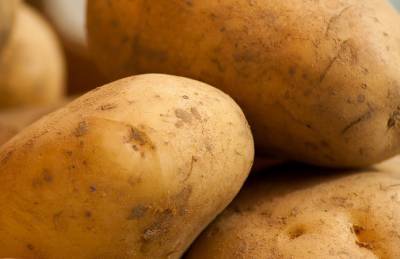 Импорт снижает цены на украинский картофель