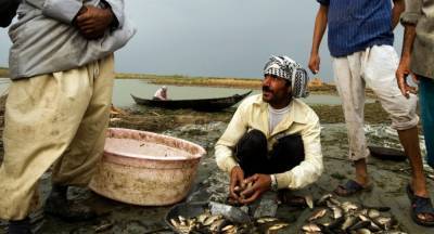 Иракские рыбаки стали заложниками дипломатов