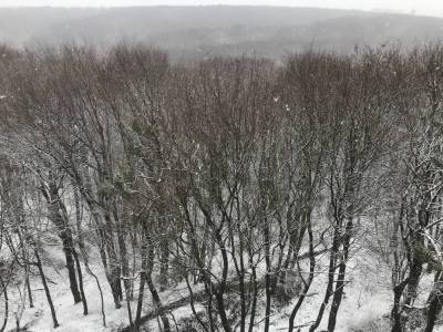 Львов посреди апреля припорошило снегом: красноречивые фото, видео