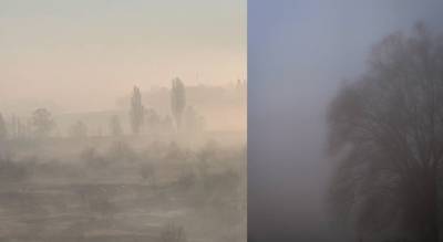 "Видимость меньше 50 метров": Харьковскую область заволокло густым туманом, кадры