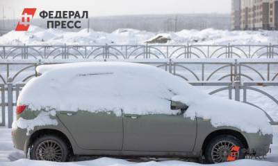В Петербурге выпало 4 см апрельского снега