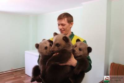 Сотрудники парка Лесоводов в Уфе показали новорожденных медвежат