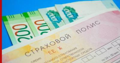 Новые виды страхования в России предложила ввести ЛДПР