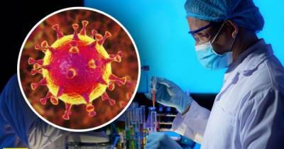 На Житомирщине подтвердили распространение "британского" штамма коронавируса