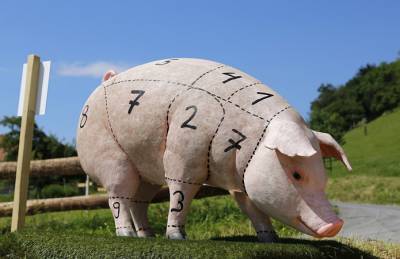 Закупочные цены на свинину подскочили на 6%