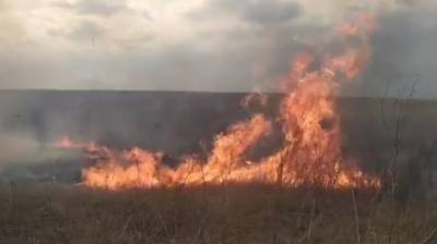 Воронежцы сообщили о пожаре в Дивногорье: появилось видео