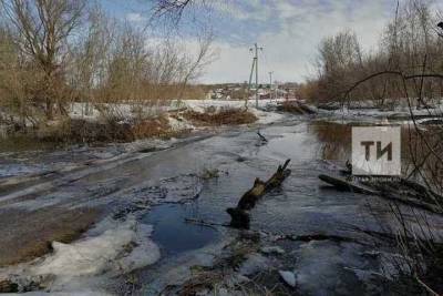 Паводковые воды затопили два моста и дорогу в Татарстане